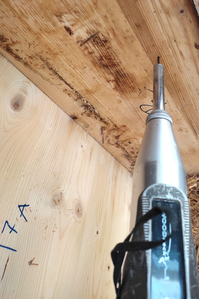 Sclerometro Wood Pecker su travetto di solaio X-Lam (elemento 7A) con materiale di riempimento in paglia: prova NDT su zona con umidit&agrave; da infiltrazione